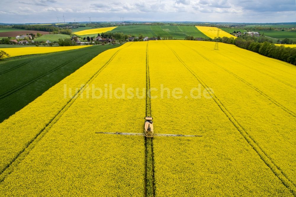 Langenleuba-Oberhain aus der Vogelperspektive: Gelb - grün Kontrast blühender Raps- Blüten in Langenleuba-Oberhain im Bundesland Sachsen, Deutschland