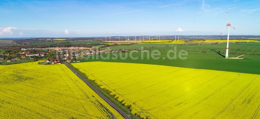 Luftbild Mallnow - Gelb - grün Kontrast blühender Raps- Blüten in Mallnow im Bundesland Brandenburg, Deutschland