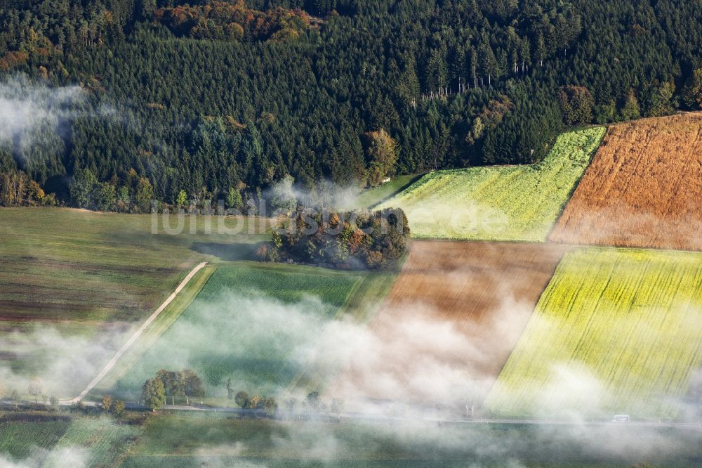 Luftaufnahme Pöttmes - Gelb - grün Kontrast blühender Raps- Blüten in Pöttmes im Bundesland Bayern, Deutschland