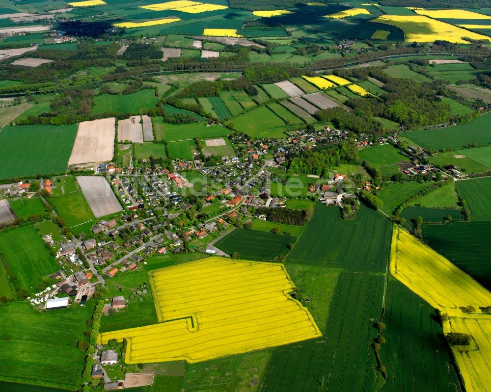 Luftaufnahme Rondeshagen - Gelb - grün Kontrast blühender Raps- Blüten in Rondeshagen im Bundesland Schleswig-Holstein, Deutschland