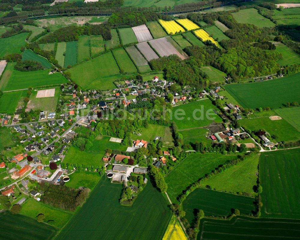 Rondeshagen von oben - Gelb - grün Kontrast blühender Raps- Blüten in Rondeshagen im Bundesland Schleswig-Holstein, Deutschland