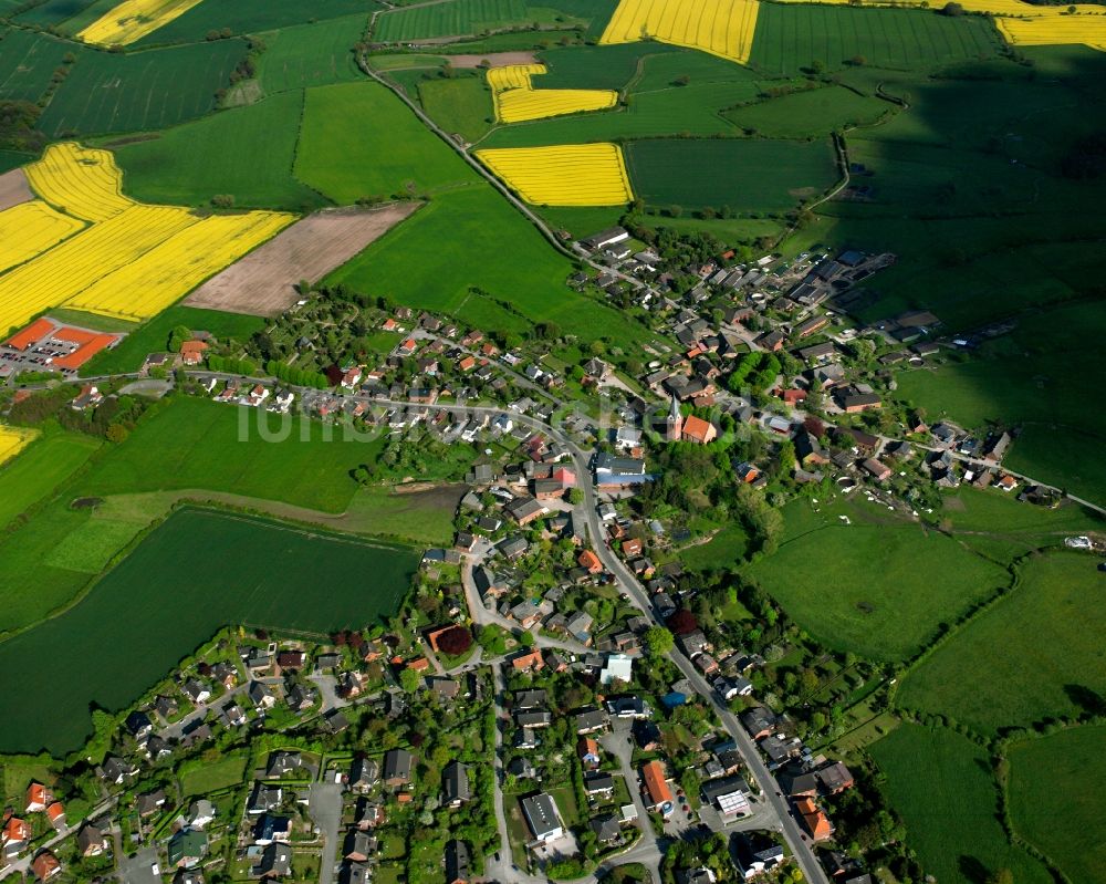 Luftaufnahme Sandesneben - Gelb - grün Kontrast blühender Raps- Blüten in Sandesneben im Bundesland Schleswig-Holstein, Deutschland