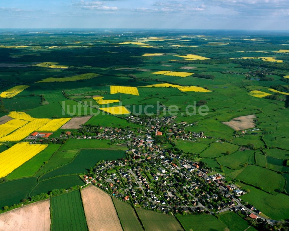 Sandesneben von oben - Gelb - grün Kontrast blühender Raps- Blüten in Sandesneben im Bundesland Schleswig-Holstein, Deutschland