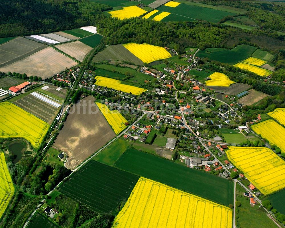 Schmilau von oben - Gelb - grün Kontrast blühender Raps- Blüten in Schmilau im Bundesland Schleswig-Holstein, Deutschland
