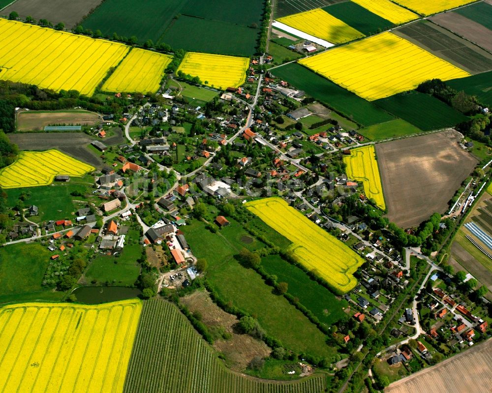 Schmilau aus der Vogelperspektive: Gelb - grün Kontrast blühender Raps- Blüten in Schmilau im Bundesland Schleswig-Holstein, Deutschland