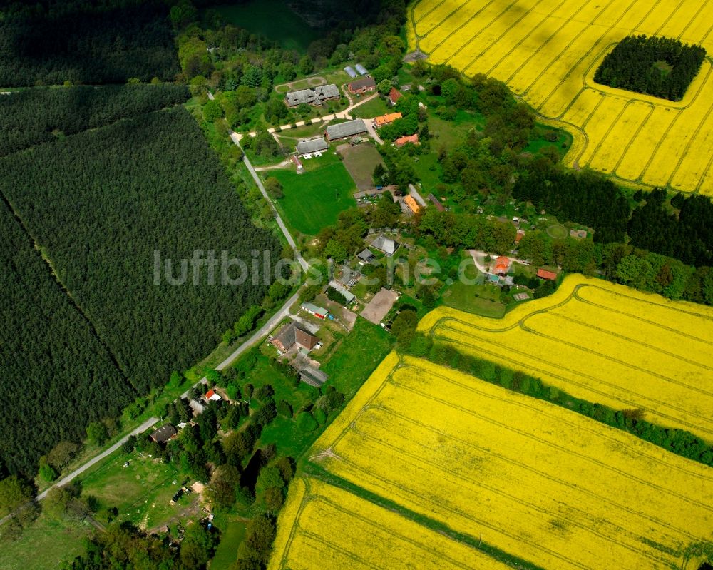 Luftaufnahme Segrahn - Gelb - grün Kontrast blühender Raps- Blüten in Segrahn im Bundesland Schleswig-Holstein, Deutschland