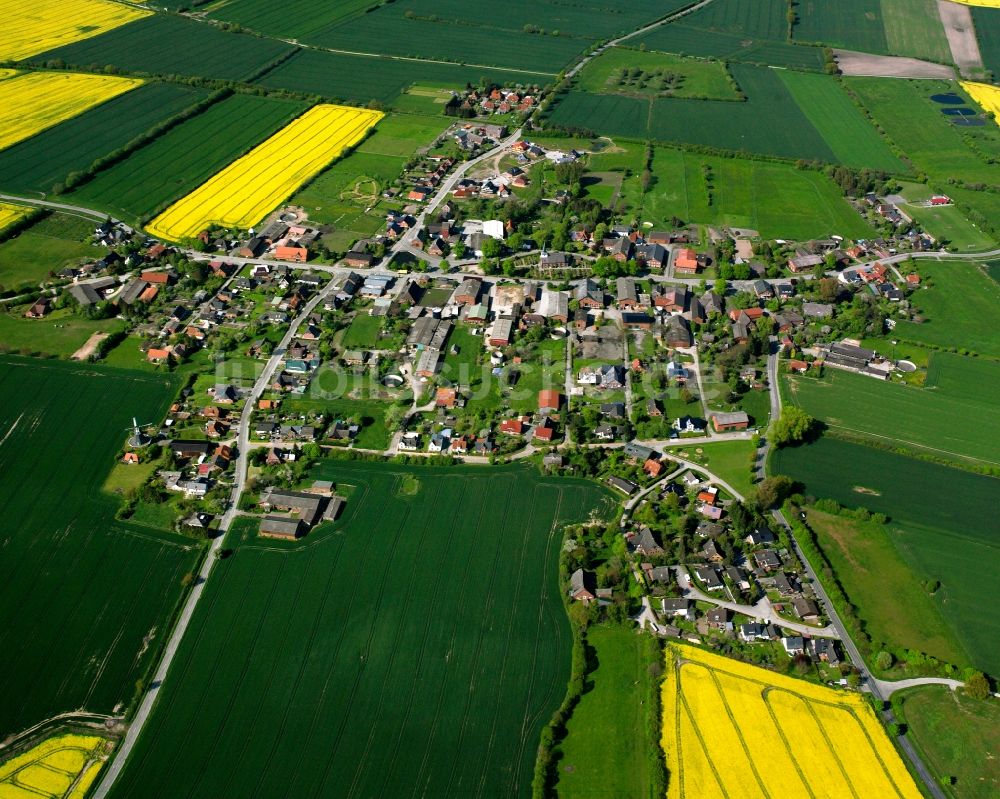 Luftbild Siebenbäumen - Gelb - grün Kontrast blühender Raps- Blüten in Siebenbäumen im Bundesland Schleswig-Holstein, Deutschland