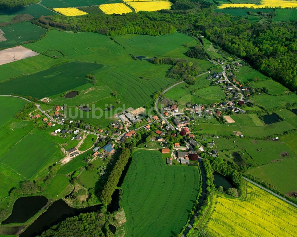 Luftaufnahme Sirksfelde - Gelb - grün Kontrast blühender Raps- Blüten in Sirksfelde im Bundesland Schleswig-Holstein, Deutschland