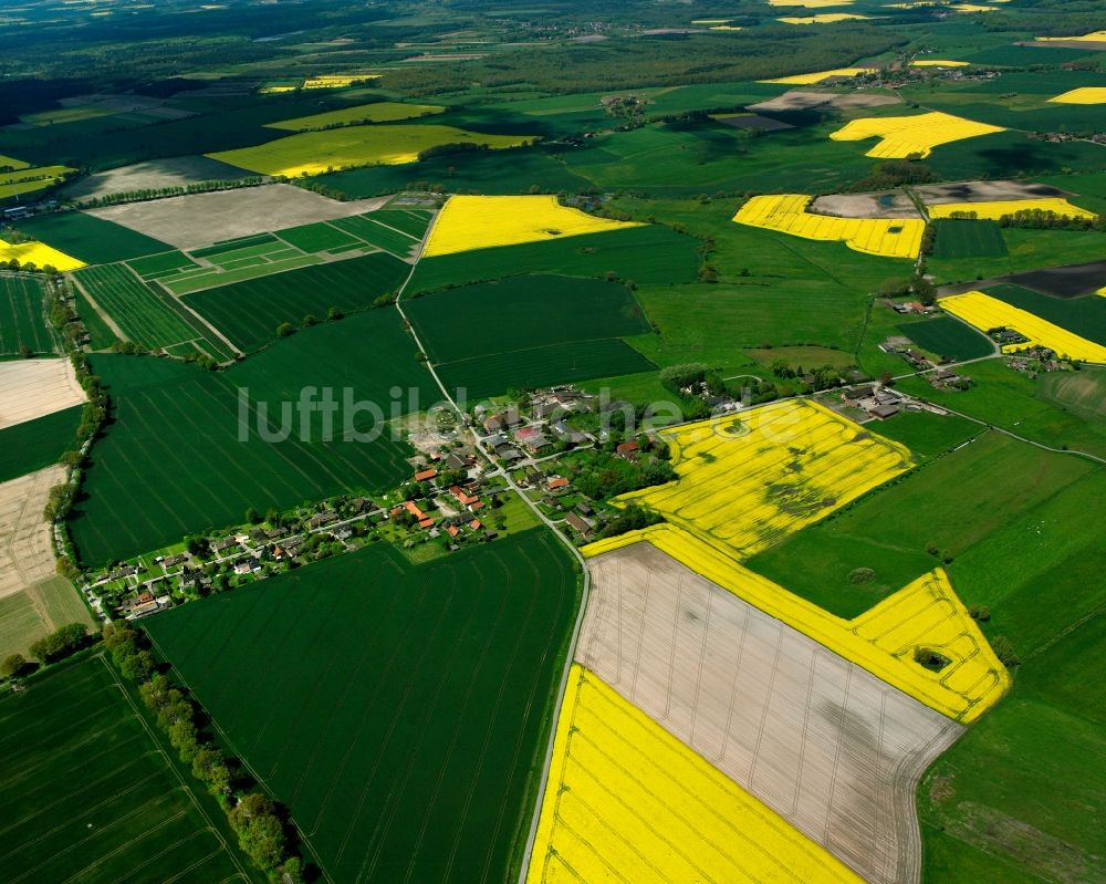 Luftbild Sophienthal - Gelb - grün Kontrast blühender Raps- Blüten in Sophienthal im Bundesland Schleswig-Holstein, Deutschland