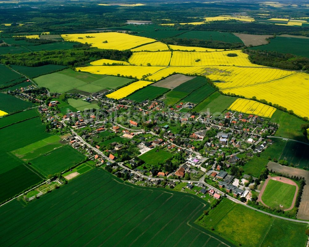 Luftaufnahme Sterley - Gelb - grün Kontrast blühender Raps- Blüten in Sterley im Bundesland Schleswig-Holstein, Deutschland