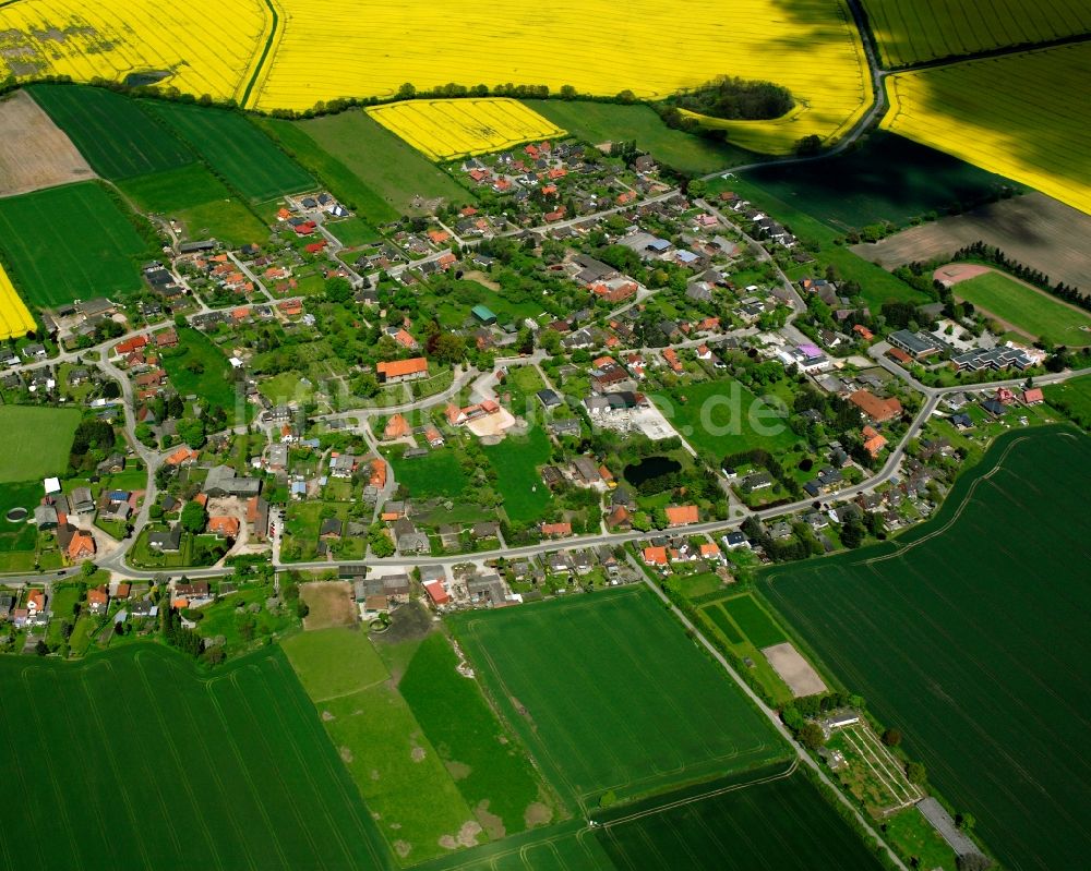 Sterley von oben - Gelb - grün Kontrast blühender Raps- Blüten in Sterley im Bundesland Schleswig-Holstein, Deutschland