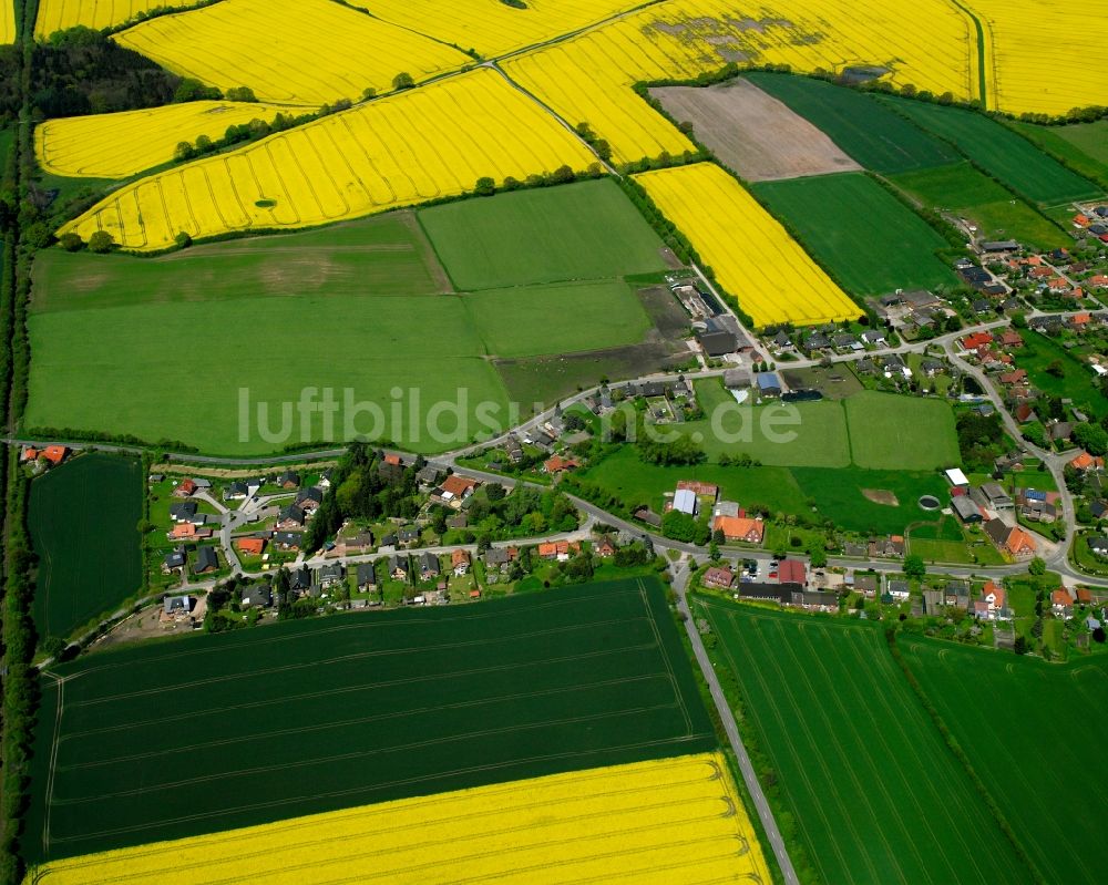 Sterley aus der Vogelperspektive: Gelb - grün Kontrast blühender Raps- Blüten in Sterley im Bundesland Schleswig-Holstein, Deutschland