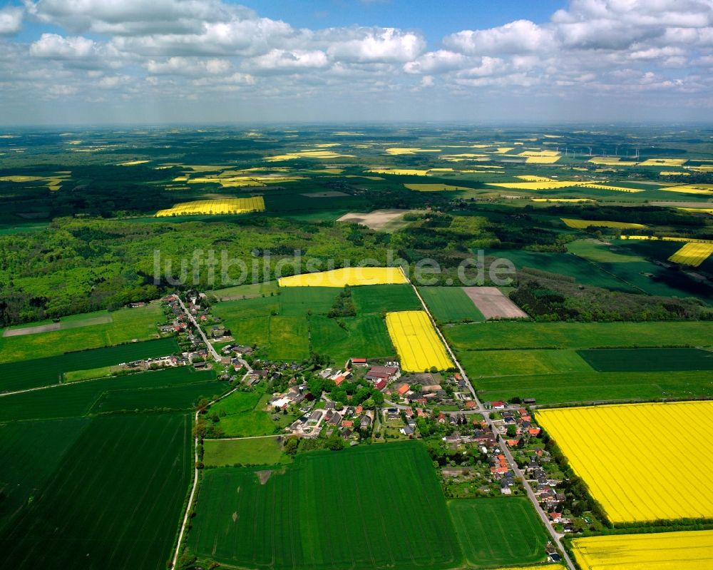 Tramm aus der Vogelperspektive: Gelb - grün Kontrast blühender Raps- Blüten in Tramm im Bundesland Schleswig-Holstein, Deutschland