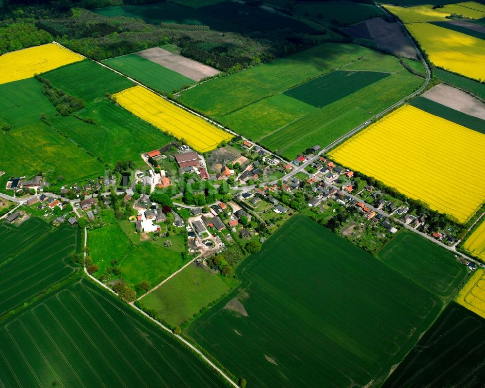Luftbild Tramm - Gelb - grün Kontrast blühender Raps- Blüten in Tramm im Bundesland Schleswig-Holstein, Deutschland