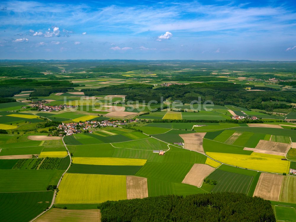 Luftbild Uttenweiler - Gelb - grün Kontrast blühender Raps- Blüten in Uttenweiler im Bundesland Baden-Württemberg, Deutschland