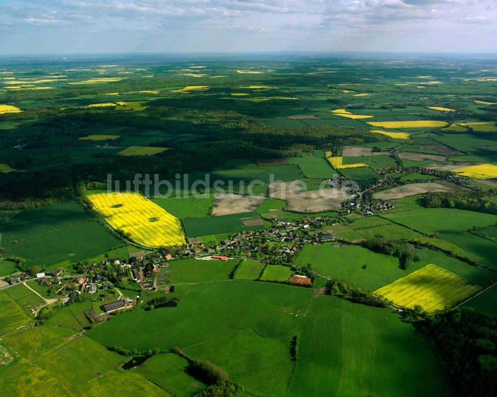 Luftbild Wentorf (Amt Sandesneben) - Gelb - grün Kontrast blühender Raps- Blüten in Wentorf (Amt Sandesneben) im Bundesland Schleswig-Holstein, Deutschland