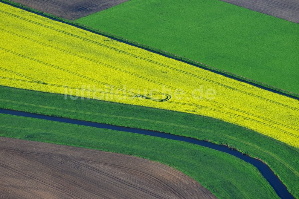 Vielank aus der Vogelperspektive: Gelbe Blüten der Raps - Feld - Landschaft mit Melorations- Gräben zur Bewässerung bei Vielank im Bundesland Mecklenburg-Vorpommern