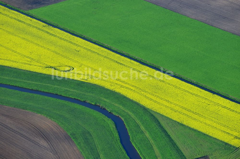 Luftbild Vielank - Gelbe Blüten der Raps - Feld - Landschaft mit Melorations- Gräben zur Bewässerung bei Vielank im Bundesland Mecklenburg-Vorpommern