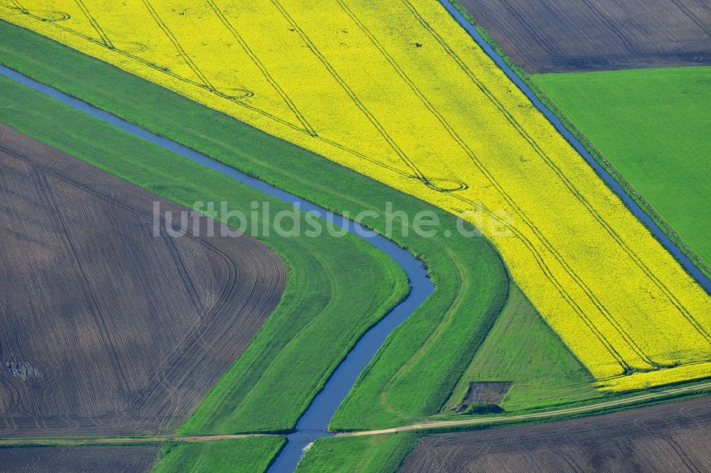 Vielank von oben - Gelbe Blüten der Raps - Feld - Landschaft mit Melorations- Gräben zur Bewässerung bei Vielank im Bundesland Mecklenburg-Vorpommern