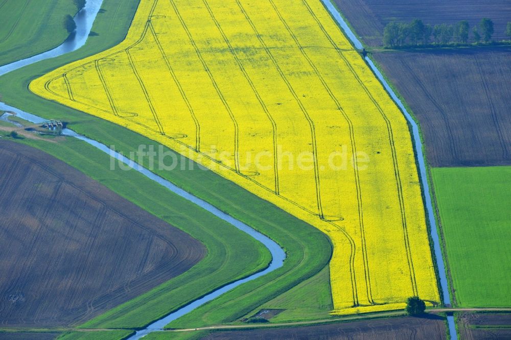 Luftbild Vielank - Gelbe Blüten der Raps - Feld - Landschaft mit Melorations- Gräben zur Bewässerung bei Vielank im Bundesland Mecklenburg-Vorpommern