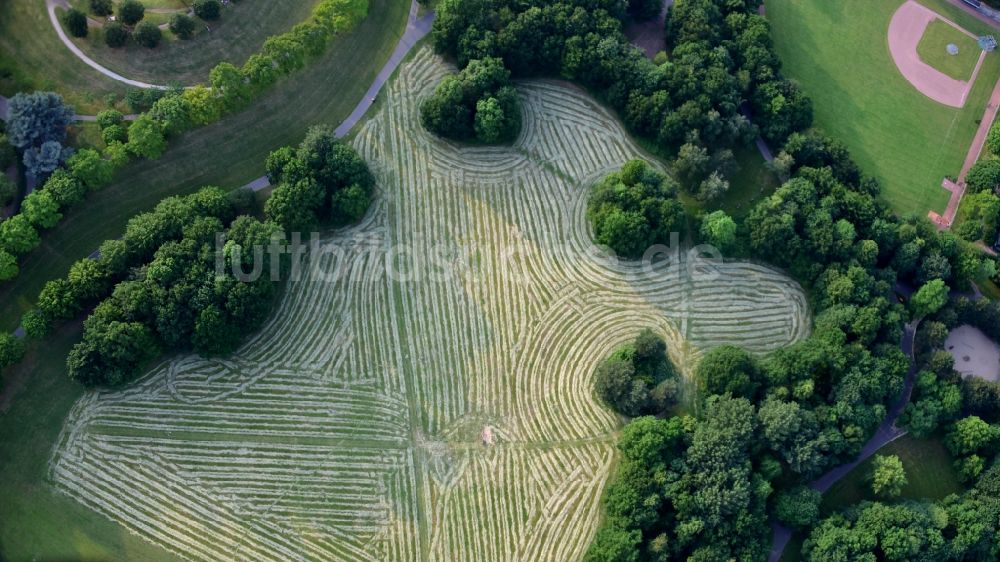 Luftaufnahme Bonn - Gemähte Grasfläche in der Rheinaue in Bonn im Bundesland Nordrhein-Westfalen, Deutschland
