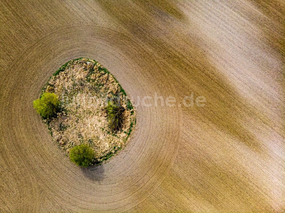 Luftaufnahme Parsteinsee - Gepflügte Feld- Strukturen in Parsteinsee im Bundesland Brandenburg, Deutschland