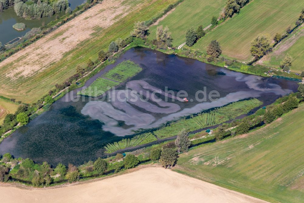 Campisico von oben - Gepflügter Acker geflutet für den Reisanbau in Campisico in Lombardei, Italien
