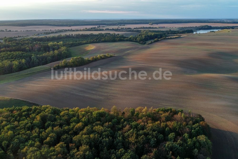 Luftbild Lietzen - Gepflügter Acker in Lietzen im Bundesland Brandenburg, Deutschland