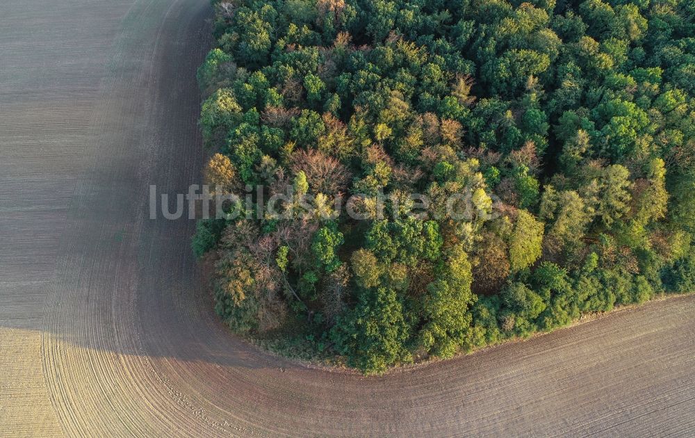 Luftaufnahme Lietzen - Gepflügter Acker in Lietzen im Bundesland Brandenburg, Deutschland
