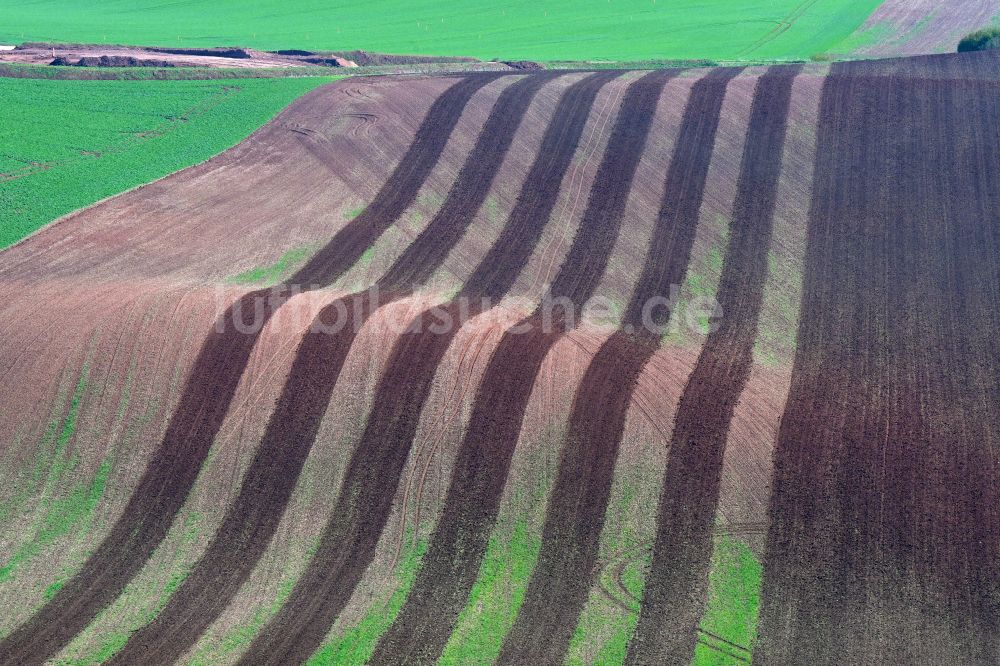 Luftaufnahme Wettin-Löbejün - Gepflügter Acker in Reihen auf einer Hügellandschaft in Wettin-Löbejün im Bundesland Sachsen-Anhalt, Deutschland