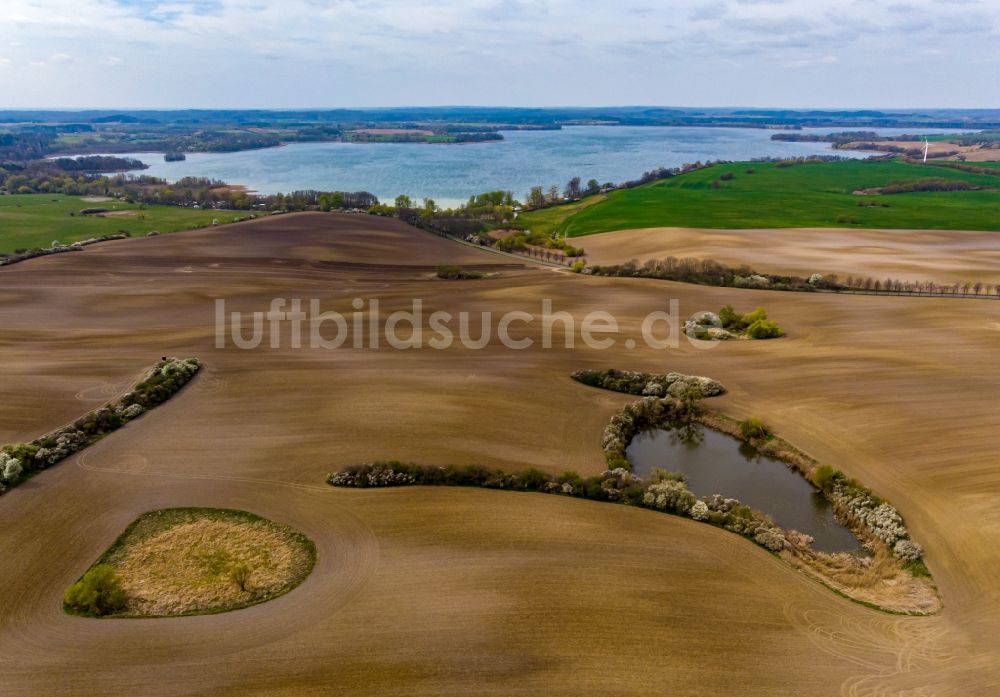 Luftbild Parsteinsee - Gepflügte Feld- Strukturen in Parsteinsee im Bundesland Brandenburg, Deutschland