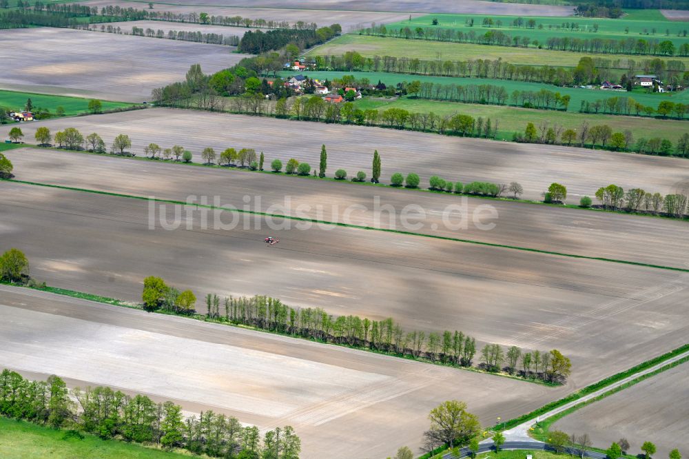 Luftbild Hohenbruch - Gepflügter Acker in Hohenbruch im Bundesland Brandenburg, Deutschland