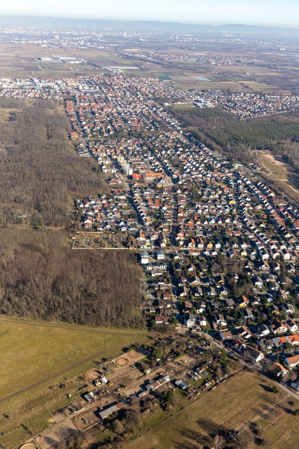 Maxdorf von oben - Gesamtübersicht und Stadtgebiet mit Außenbezirken und Innenstadtbereich in Maxdorf im Bundesland Rheinland-Pfalz, Deutschland