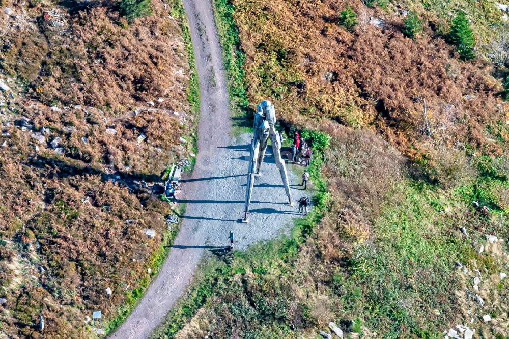 Luftbild Gengenbach - Geschichts- Denkmal zum Lothar Orkan im Südwesten in Gengenbach im Bundesland Baden-Württemberg, Deutschland