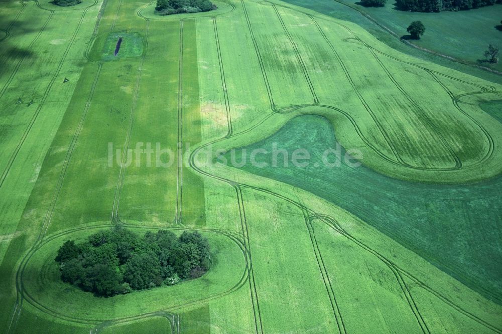 Luftaufnahme Herzberg - Getreidefeld- Strukturen in Herzberg im Bundesland Mecklenburg-Vorpommern, Deutschland