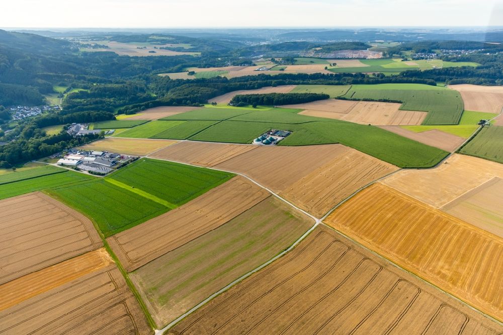 Luftbild Balve - Getreidefeld- Strukturen und Landschaft beim Ortsteil Volkringhausen im Norden der Stadt Balve im Bundesland Nordrhein-Westfalen