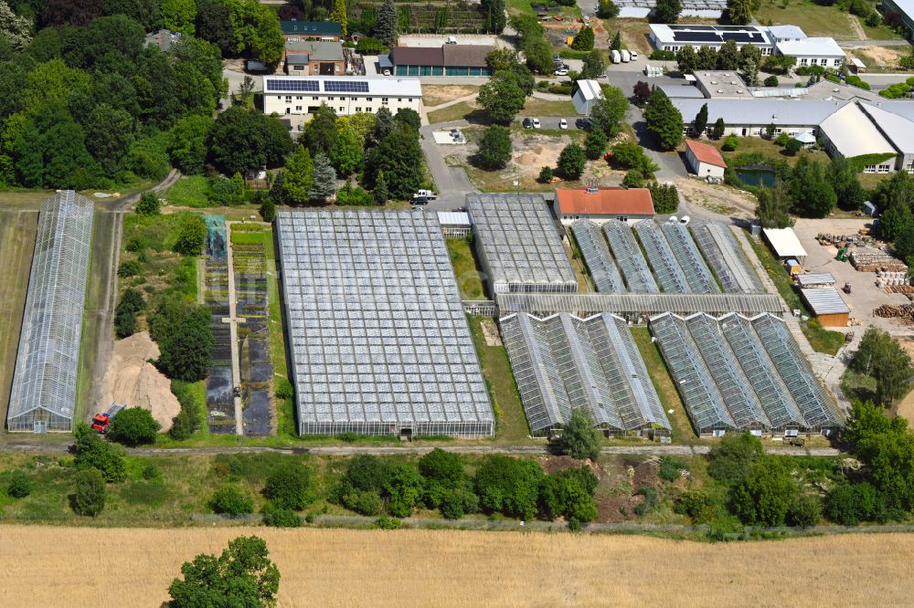 Luftaufnahme Biesenthal - Gewächshausreihen zur Gemüsezucht der Hoffnungstaler Werkstätten gGmbH in Biesenthal im Bundesland Brandenburg, Deutschland