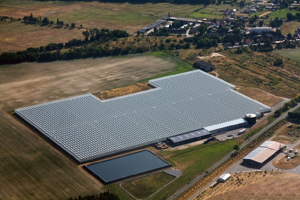 Luftaufnahme Felgentreu - Gewächshaus- und Biogasanlage Felgentreu im Bundesland Brandenburg