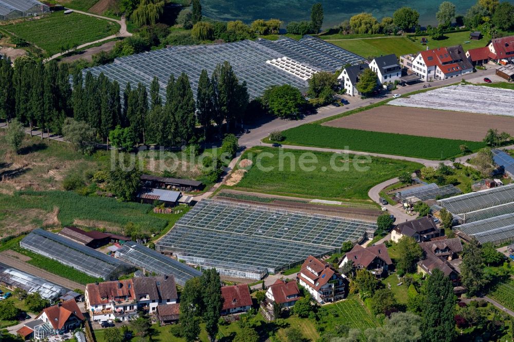Luftaufnahme Reichenau - Gewächshaus zur Gemüsezucht auf der Bodensee Insel in Reichenau im Bundesland Baden-Württemberg, Deutschland