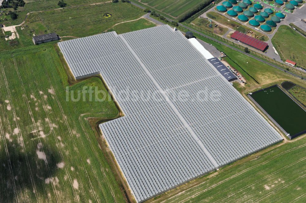 Luftaufnahme Felgentreu - Gewächshausanlagen zur Gemüseproduktion im brandenburgischen Felgentreu