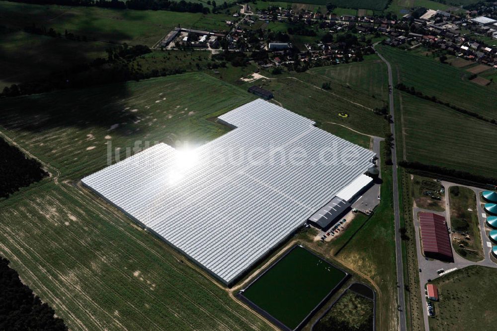 Luftaufnahme Felgentreu - Gewächshausanlagen zur Gemüseproduktion im brandenburgischen Felgentreu