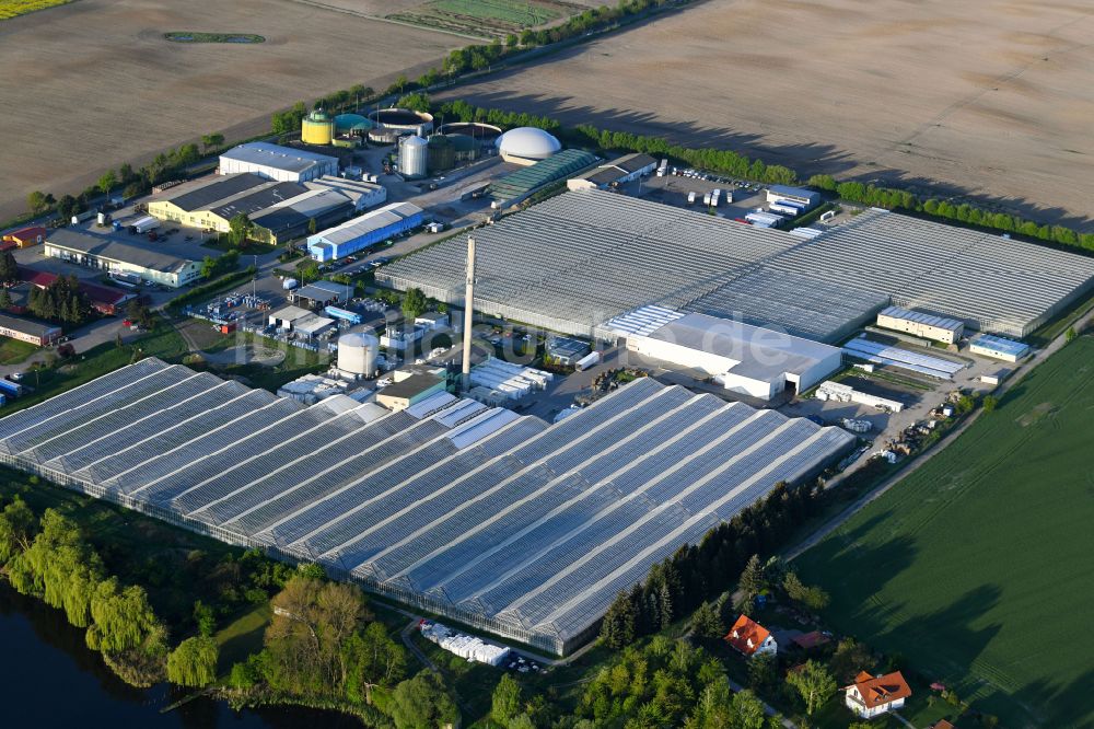 Neu-Schwante von oben - Gewächshausreihen der SL Gartenbau GmbH in Neu-Schwante im Bundesland Brandenburg, Deutschland