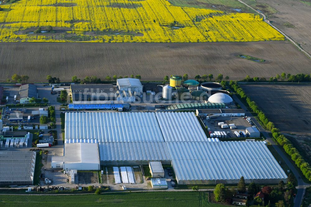 Luftbild Neu-Schwante - Gewächshausreihen der SL Gartenbau GmbH in Neu-Schwante im Bundesland Brandenburg, Deutschland