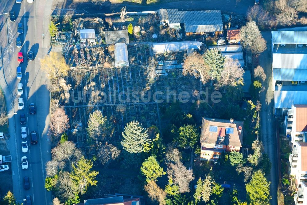 Luftbild Dresden - Gewächshausreihen der Staudengärtnerei Jentsch im Ortsteil Strehlen in Dresden im Bundesland Sachsen, Deutschland