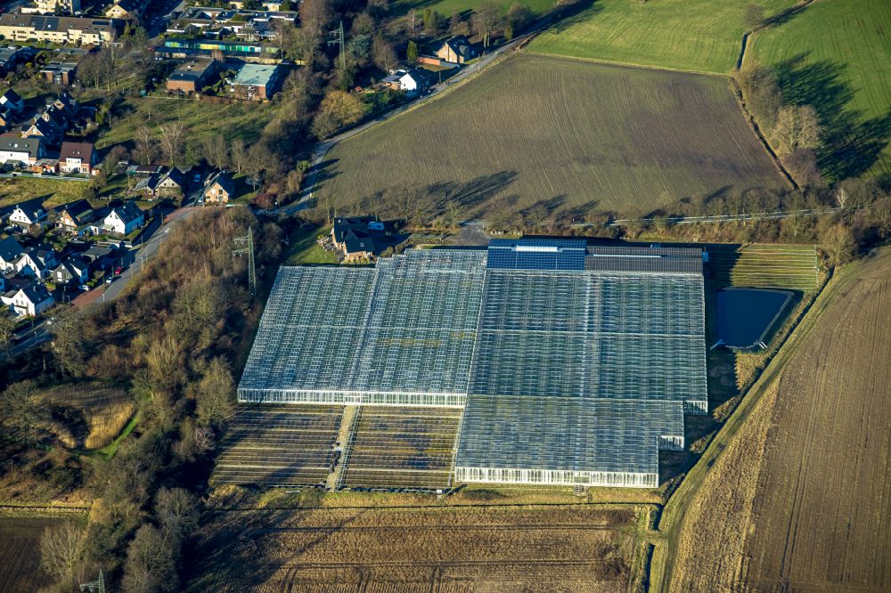 Luftbild Bottrop - Gewächshausreihen zur Gemüsezucht in Bottrop im Bundesland Nordrhein-Westfalen, Deutschland