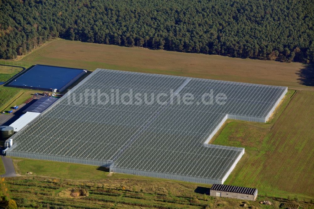 Luftbild Felgentreu - Gewächshausreihen zur Gemüsezucht in Felgentreu im Bundesland Brandenburg, Deutschland