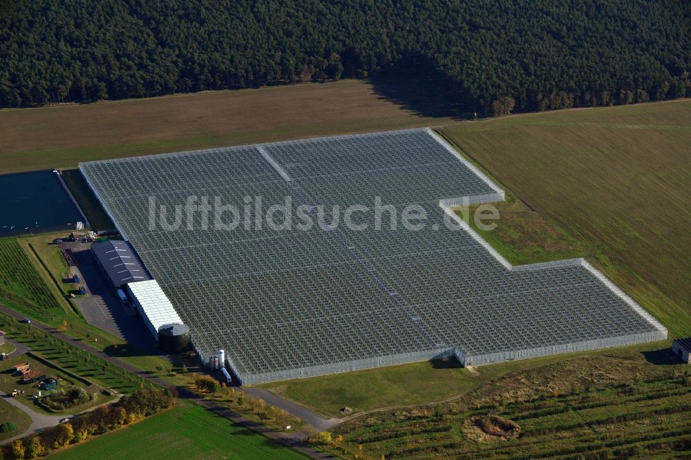 Felgentreu von oben - Gewächshausreihen zur Gemüsezucht in Felgentreu im Bundesland Brandenburg, Deutschland