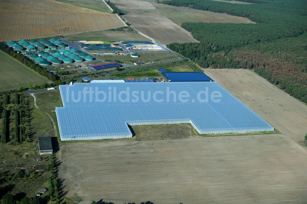 Luftbild Felgentreu - Gewächshausreihen zur Gemüsezucht in Felgentreu im Bundesland Brandenburg, Deutschland