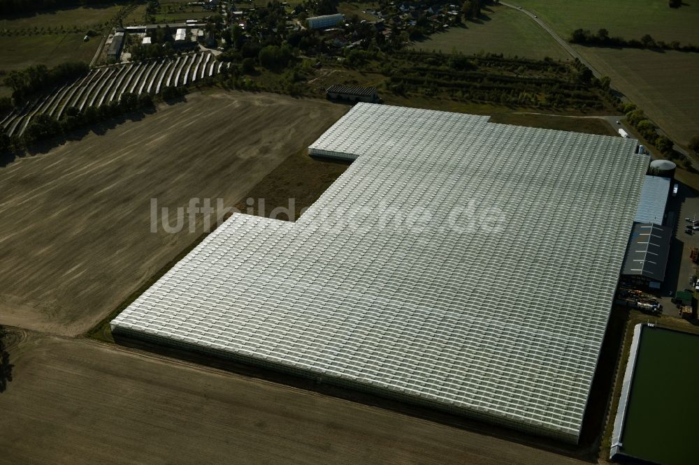 Luftaufnahme Felgentreu - Gewächshausreihen zur Gemüsezucht in Felgentreu im Bundesland Brandenburg, Deutschland