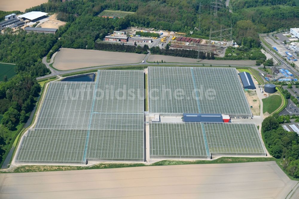 Luftaufnahme Grevenbroich - Gewächshausreihen zur Gemüsezucht in Grevenbroich im Bundesland Nordrhein-Westfalen, Deutschland